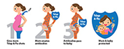 Illustration showing the stages of TDAP flu protection