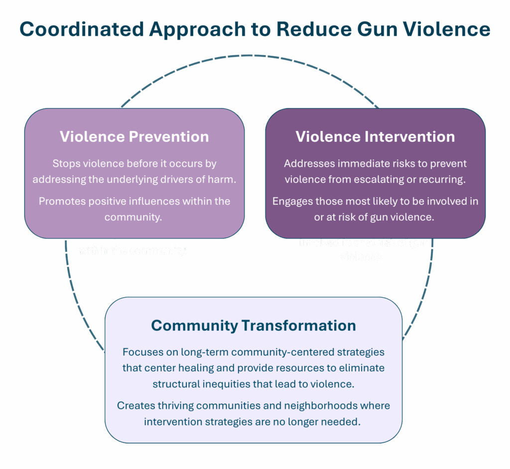 This is an image of a diagram with three boxes around a circle. One box is labeled Violence Prevention, another Violence Intervention, and the final one is Community Transformation.